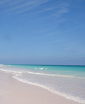 pink sand beach